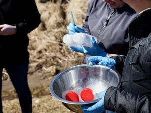 Bennington College professors and students collect soil and water samples in neighborhoods around Norlite hazardous waste incinerator in Cohoes, NY (photo by David Bond) 