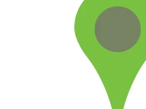 Everyone You Need img