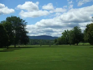 Campus Sustainability 