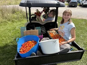 Students in a side-by-side utility vehicle with buckets of freshly harvested buckets of cherry tomatoes and bouquets of flowers