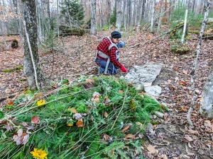 Michelle Hogle Acciavatti tends a recent grave at the Vermont Forest Cemetery. Photo by John Lazenby.