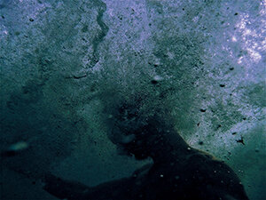 Moltedo Underwater