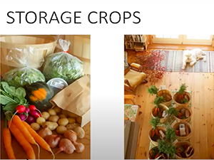 Image of storage crops