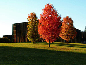 outside view of VAPA in the fall 
