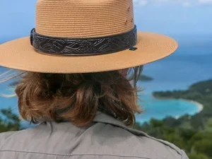 Instagram: The Ongoing View of Work image