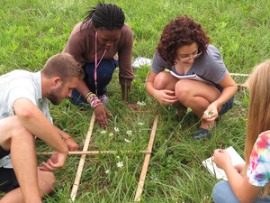 Students measuring environmental specimens found on campus