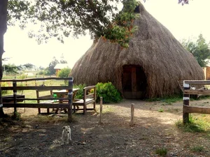 Hut in rural Patagonia