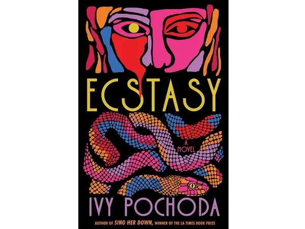 Image of Ecstasy book cover