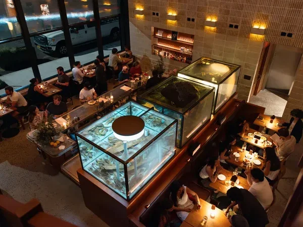 Image of Zoli fishtanks and seating