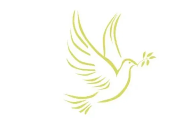 Image of Projects for Peace logo