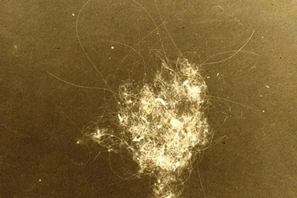 Image of Bennington Review, Issue Fifteen cover