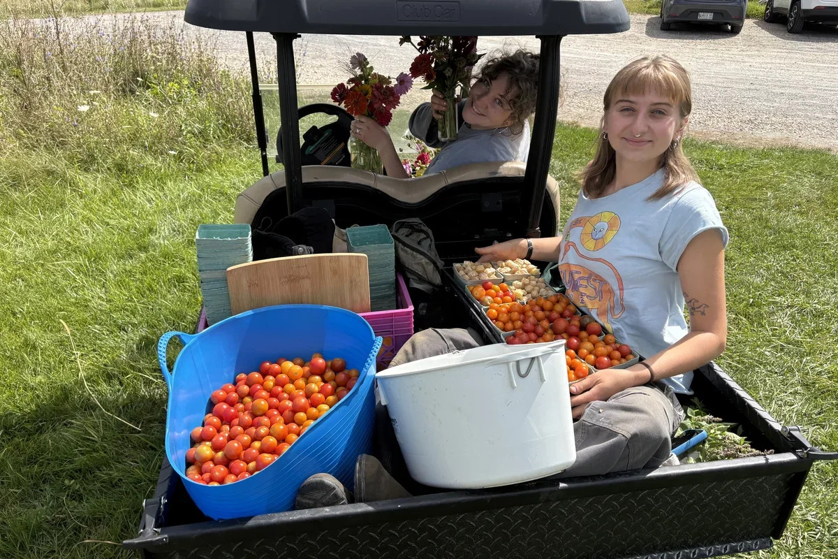 Students in a side-by-side utility vehicle with buckets of freshly harvested buckets of cherry tomatoes and bouquets of flowers