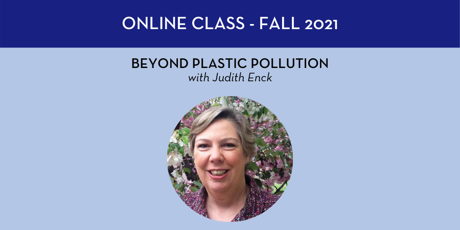 Beyond Plastic Pollution Course
