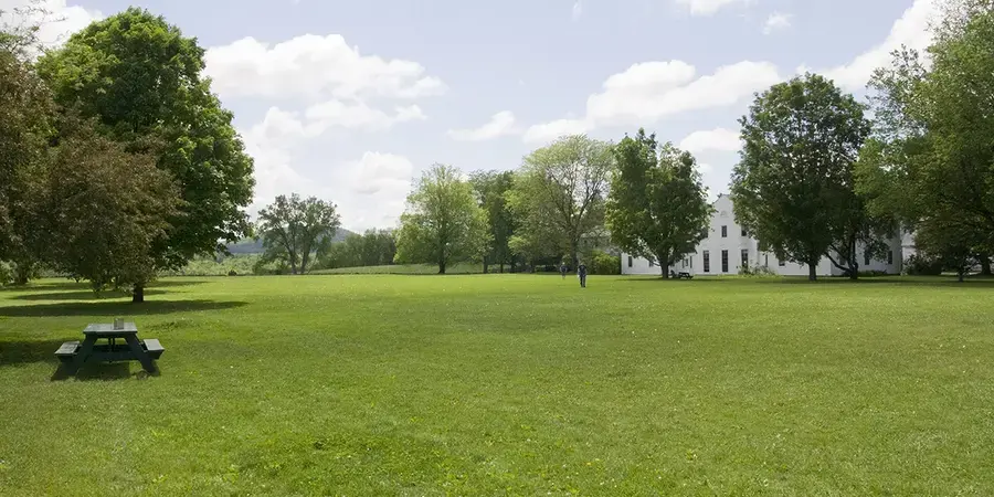 green commons lawn, trees and sky in background