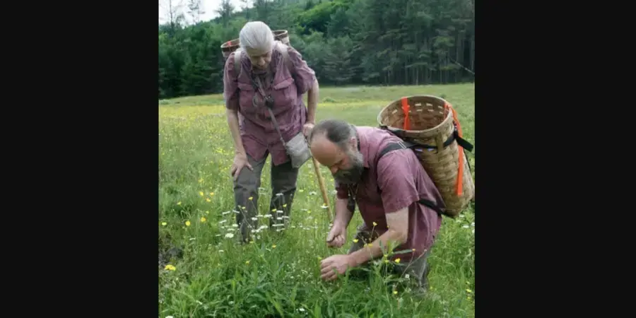 Wild Tastes of Spring: Wildcrafting Workshop