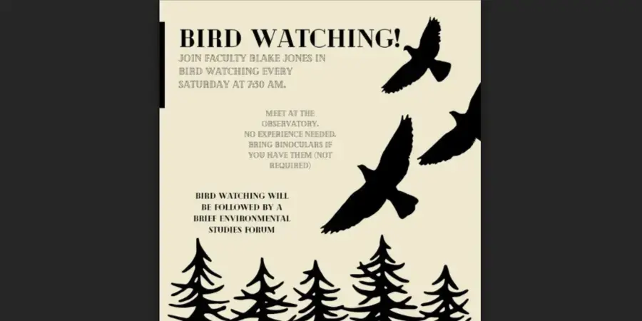 pale yellow flyer with the black silhouettes of birds