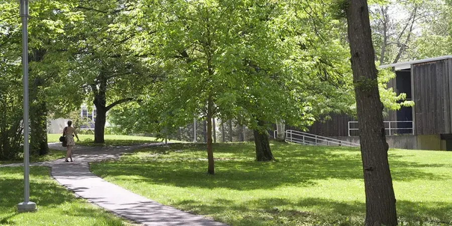 Pathway near Dickinson, with green grass and trees