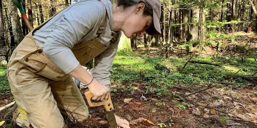 Image of woman digging in ground