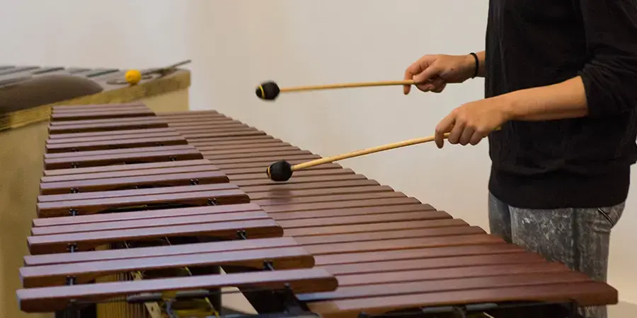 Mallet Percussion instrument 