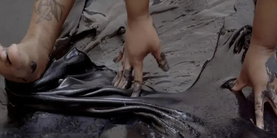 A Particular Fantasy