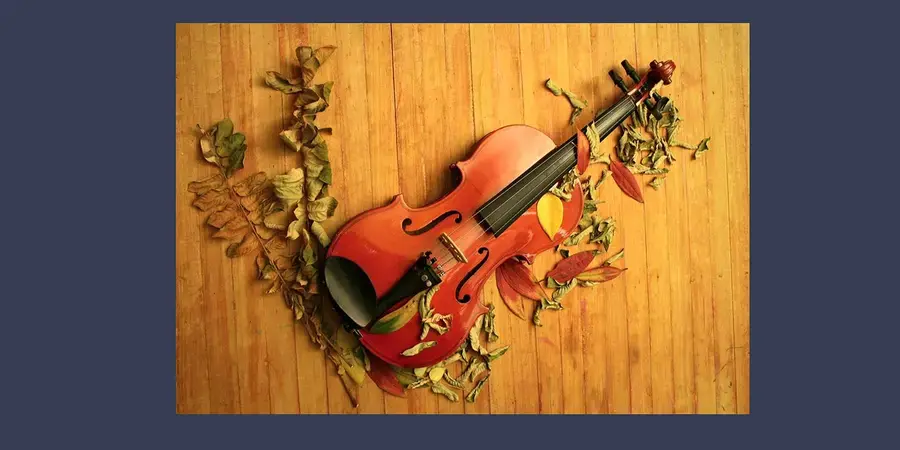 Violin & Viola Showcase