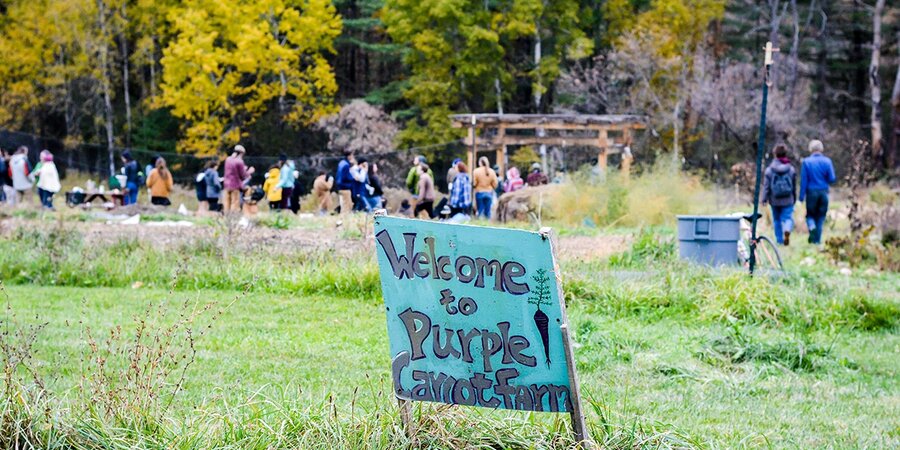 a blue wooden sign saying "Welcome to Purple Carrot Farm" in a green field with a group of people gathered in the background in front of the woods