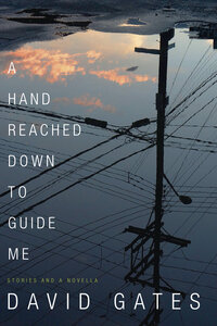 A Hand Reached Down to Guide Me(Book)