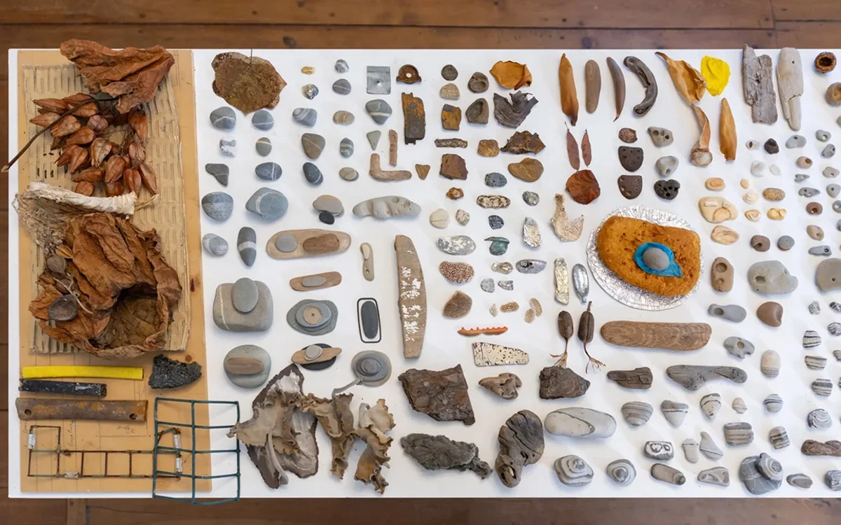 Display of Walking Project with found items