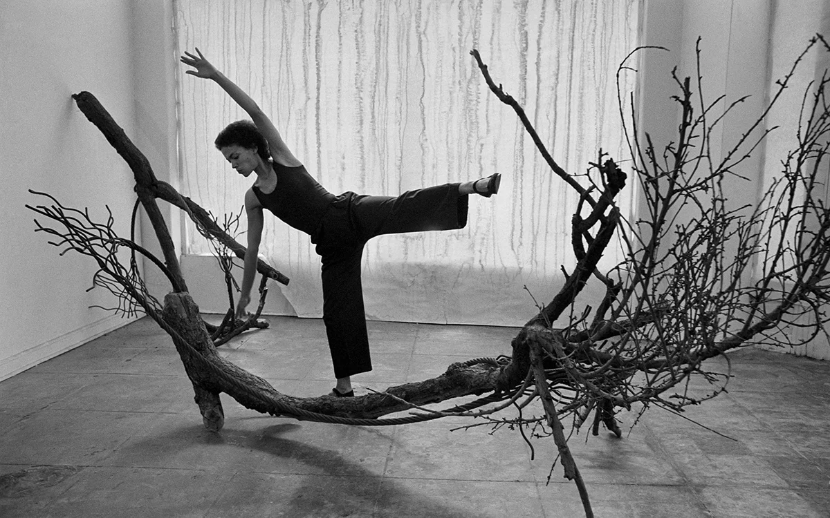 Image of Maren Hassinger's Tree Duet