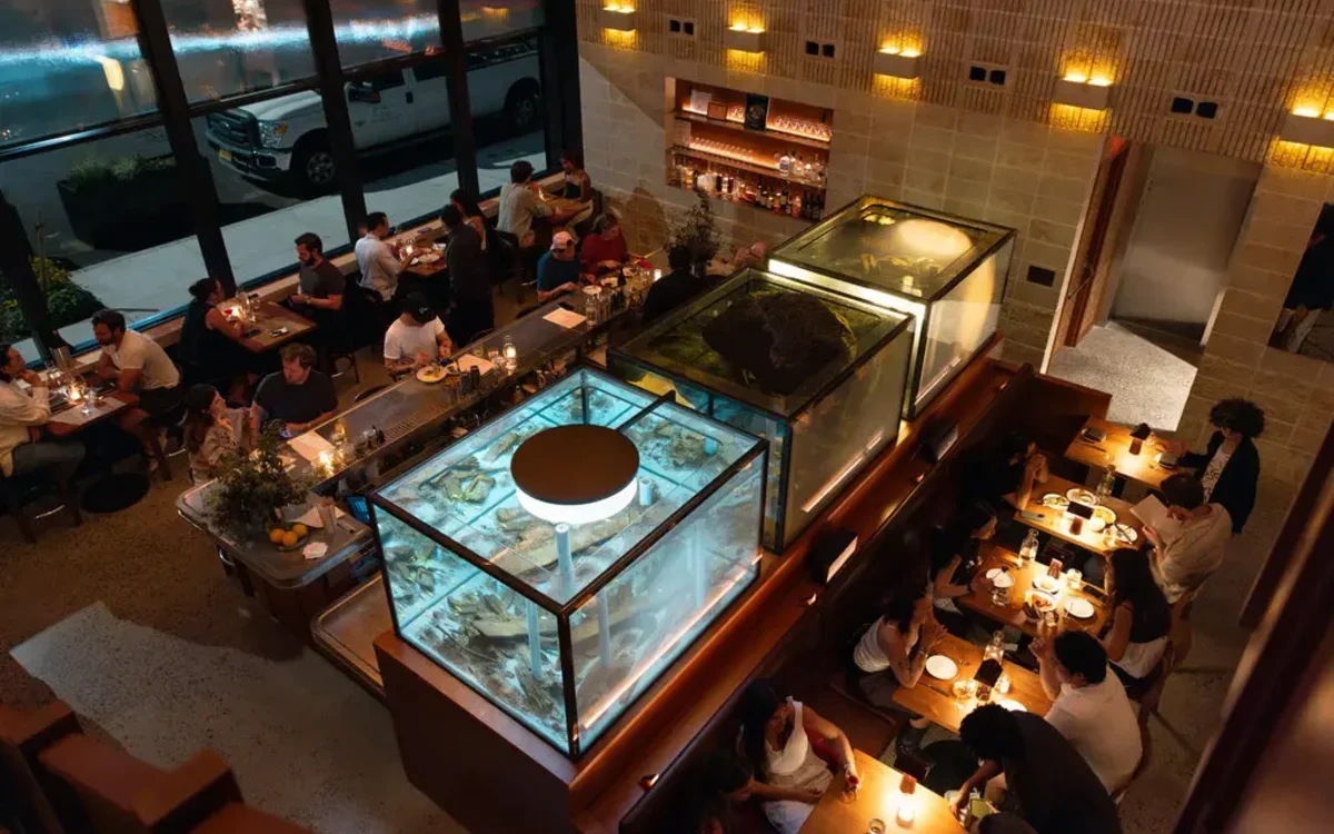 Image of Zoli fishtanks and seating