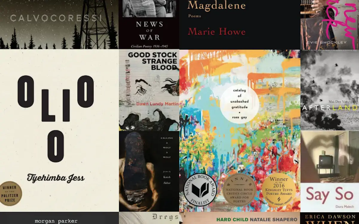 covers of books written by authors who read for poetry at bennington