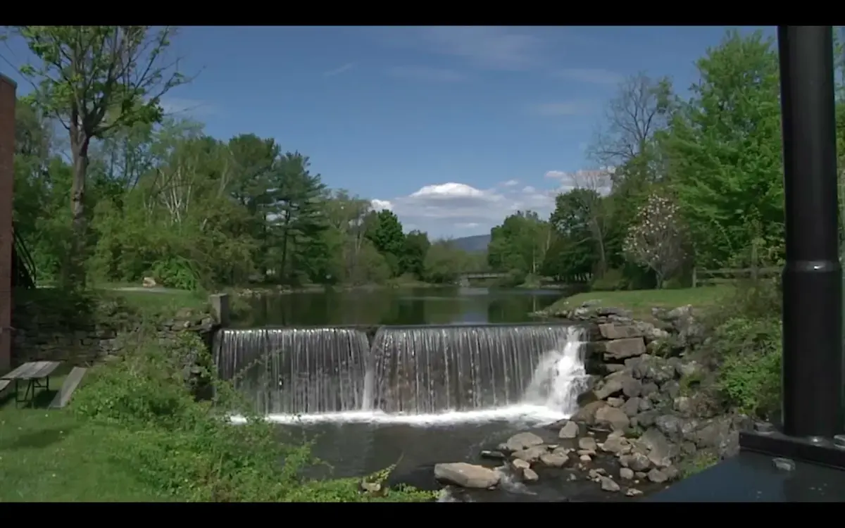 Environment and Public Action