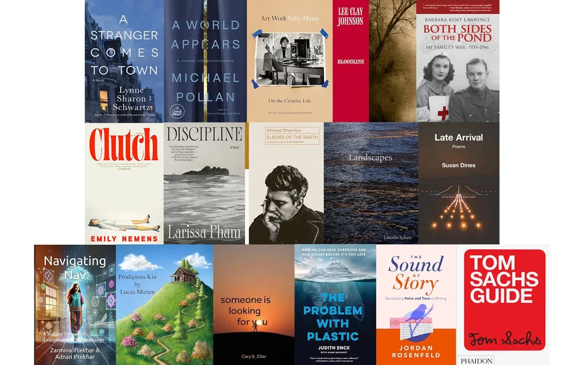 Image of winter books cover