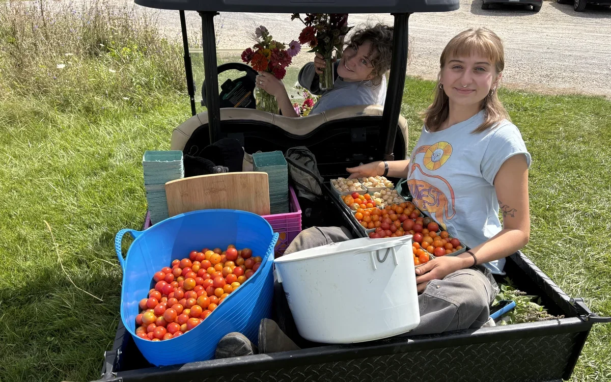 Students in a side-by-side utility vehicle with buckets of freshly harvested buckets of cherry tomatoes and bouquets of flowers