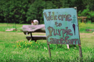 Blue wooden "Purple Carrot Farm" sign in front of green grass
