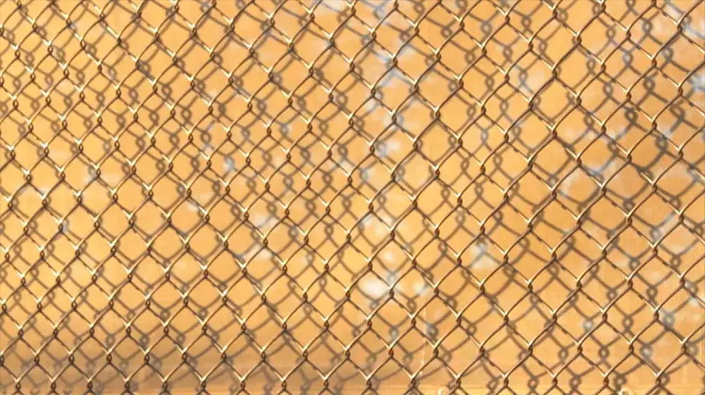 Screen shot from video