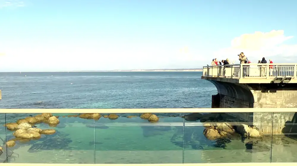 Screen shot from video