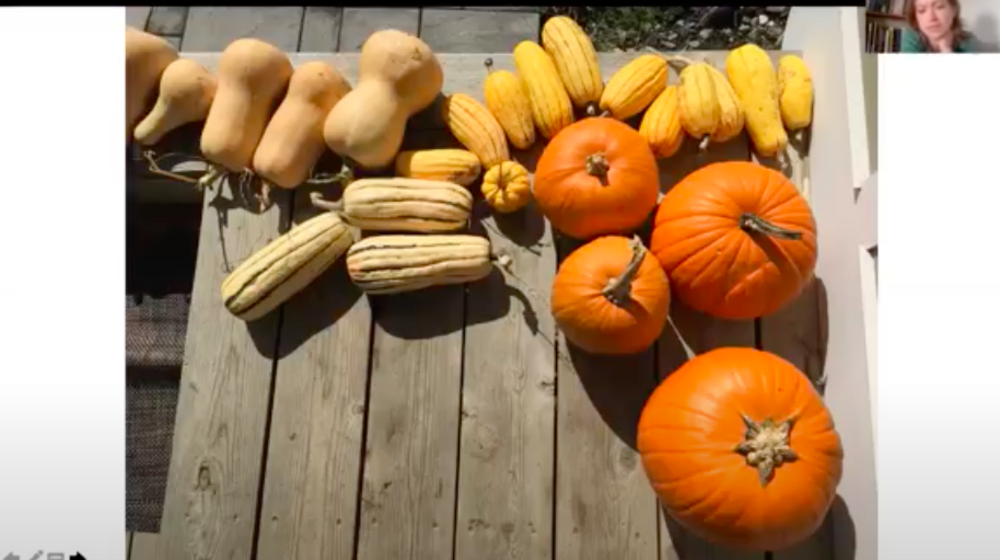 Photo of autumn gourds