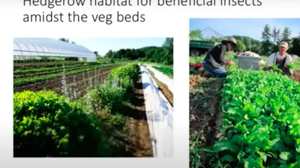 Image of powerpoint slides