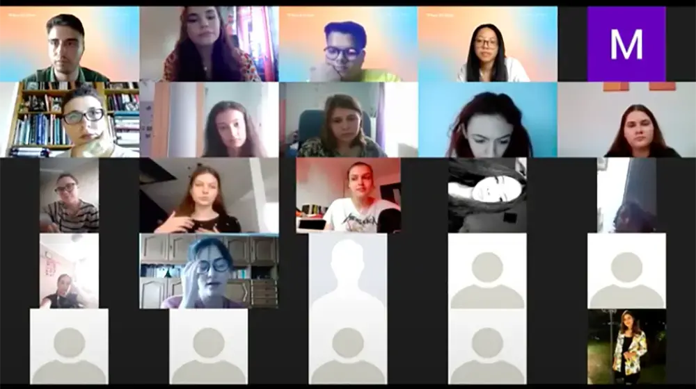 Image of webinar participants