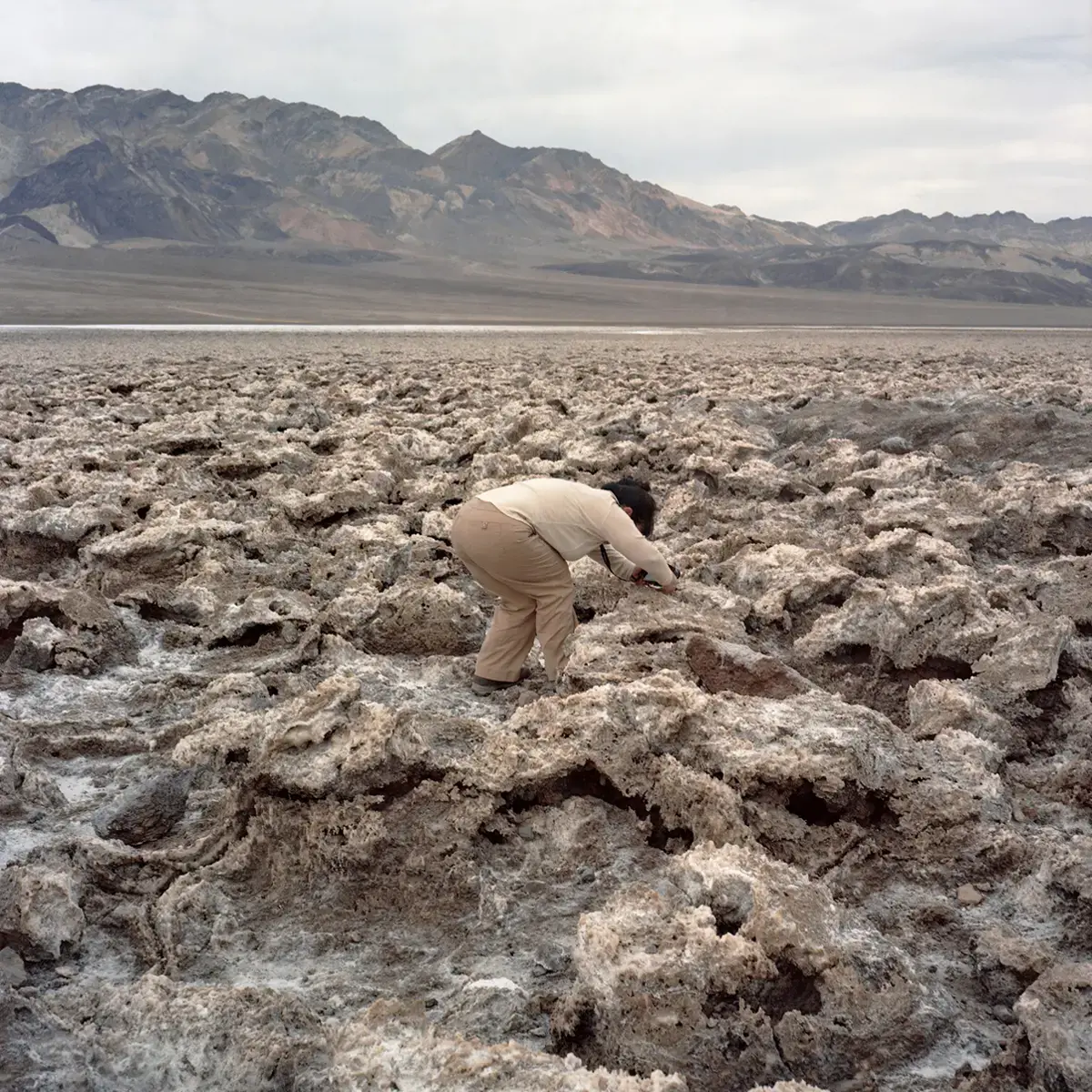 Eloise Schieferdecker ’16