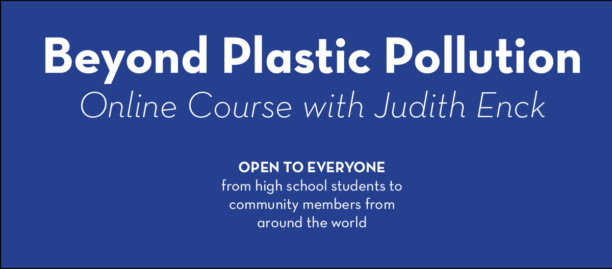 Beyond Plastic Pollution - course heading