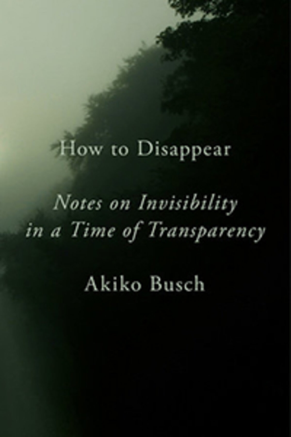 Trees on a book cover How to Disappear by AKIKO BUSCH