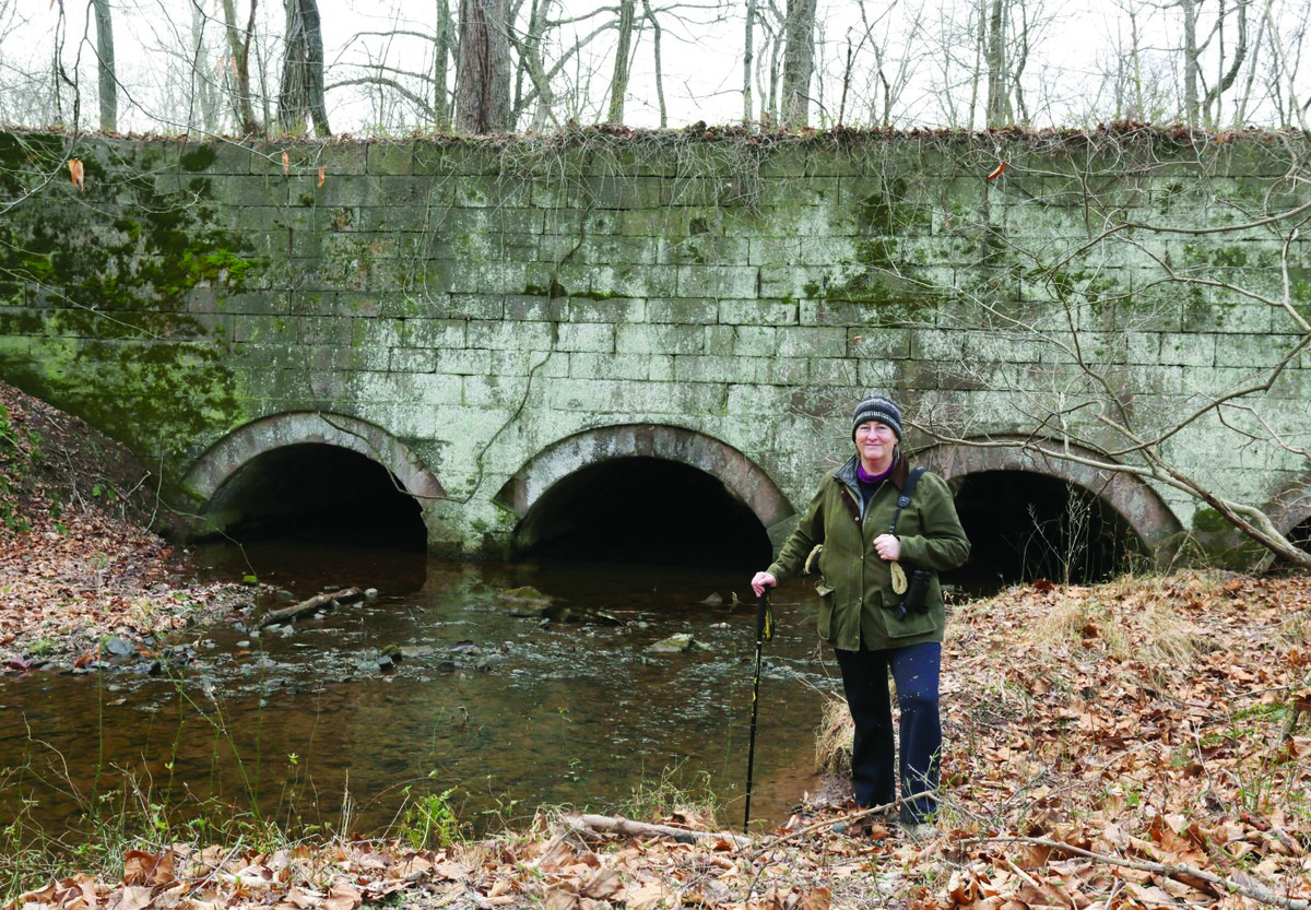 person standing near water and bridge in the woods holding a walking stick
