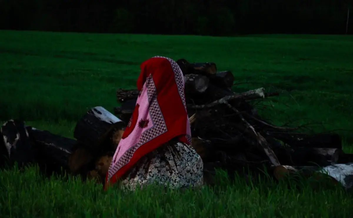 Photo of cloth on wood