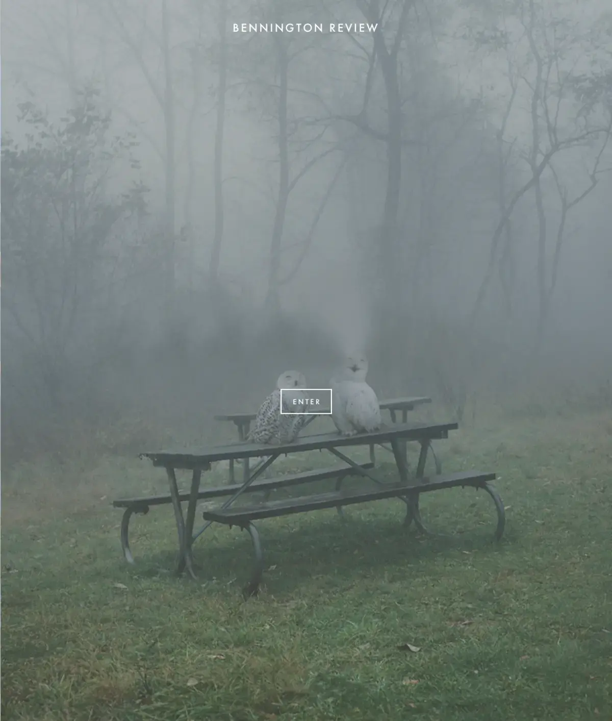 Relaunching a Literary Legacy img