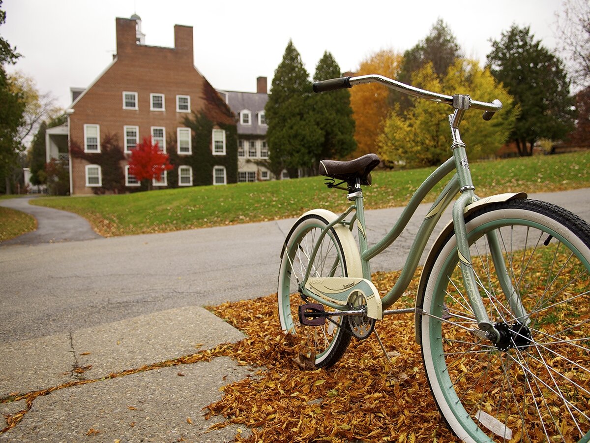 a blue bike by a pile of fall leaves