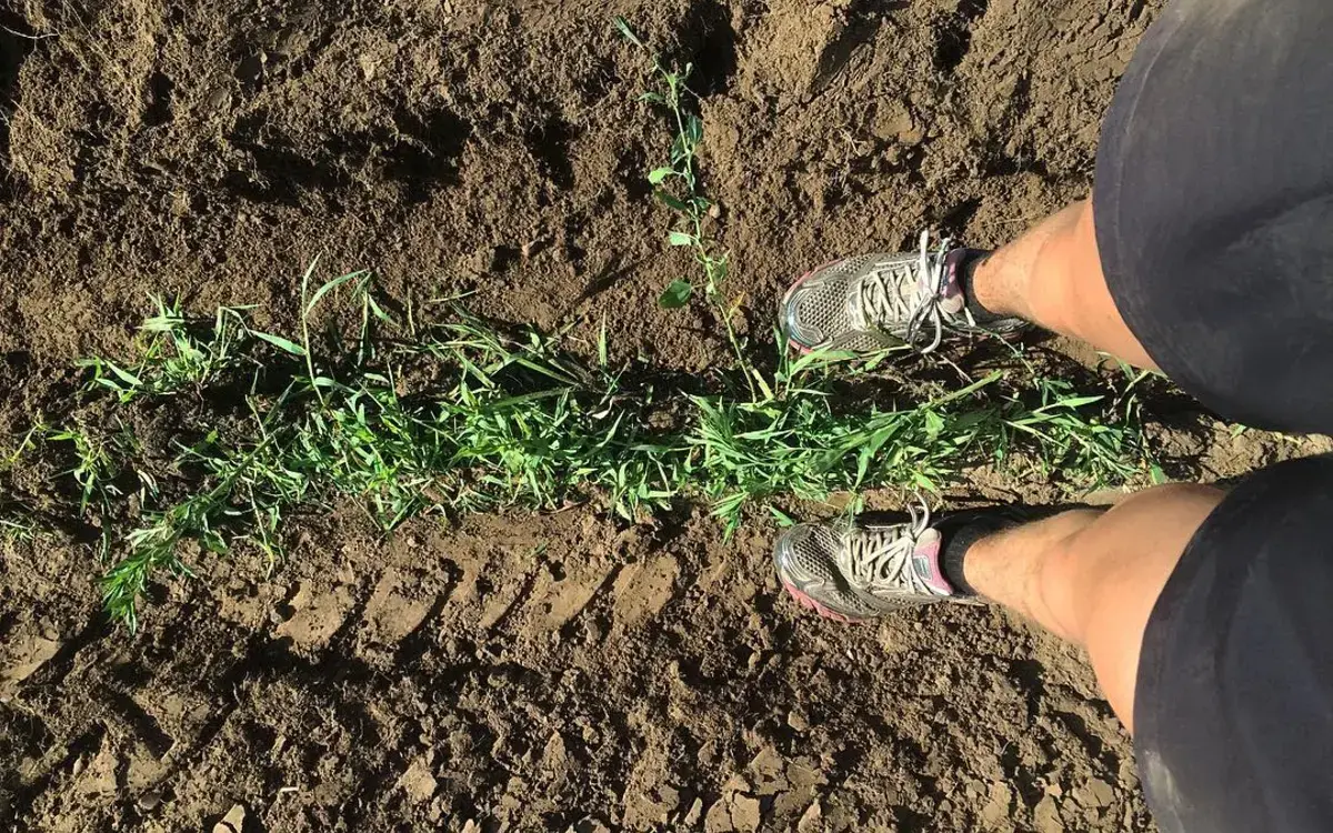 Instagram: The Ongoing View of Work image