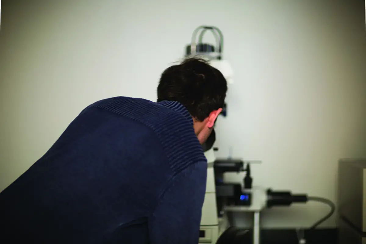 The Rise and Fall of the Paid Internship image