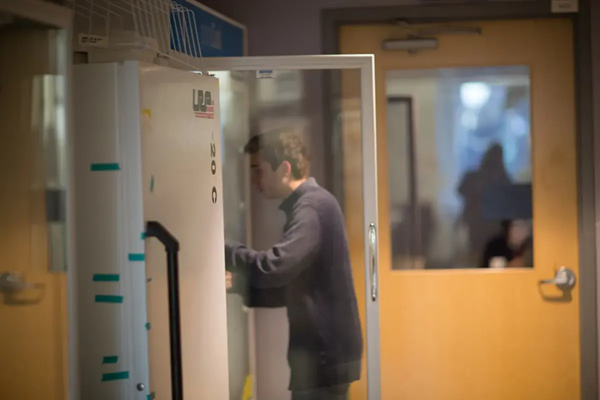 The Rise and Fall of the Paid Internship image